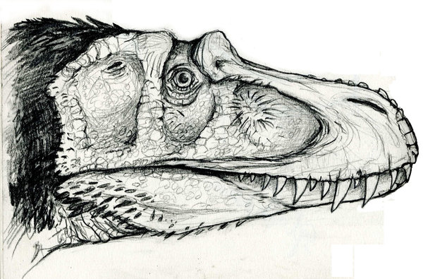  p>马什龙学名为marshosaurus,是一种中等体形的兽脚类恐龙.