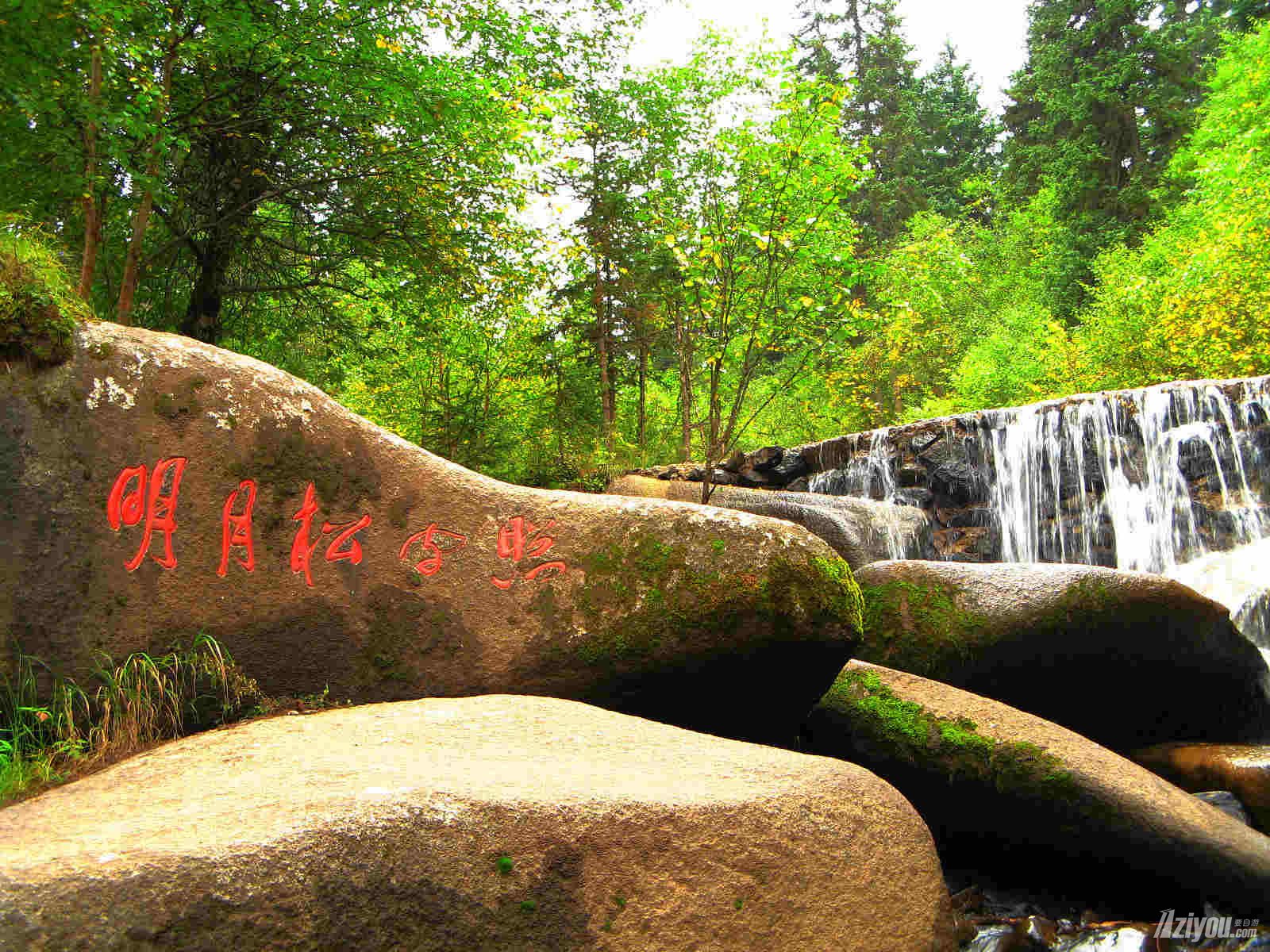莲花山国家级森林公园