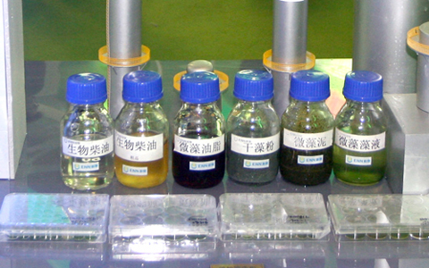 data-lemmaid="9683426">生物柴油技术首先包括微藻