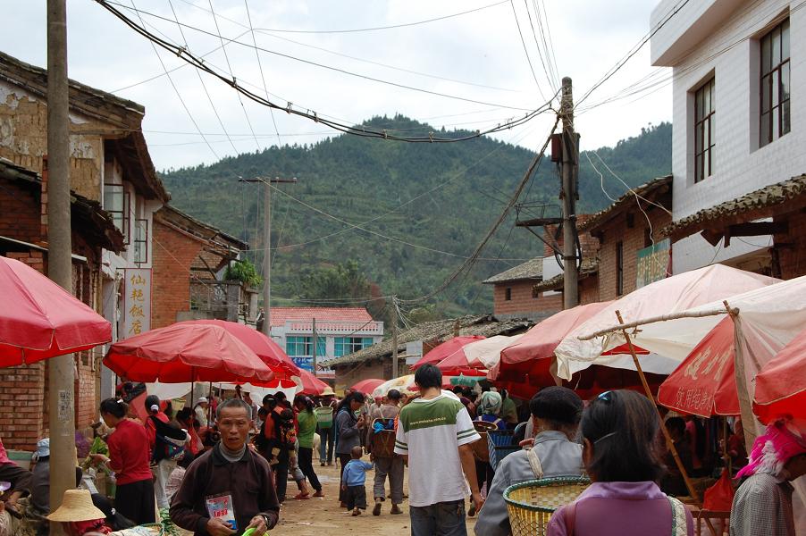 ="_blank" href="/item/文山州">文山州 /a>砚山县阿猛镇阿基村民委