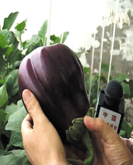 太空育种即航天育种,也称空间 a target="_blank" href="/item/诱变