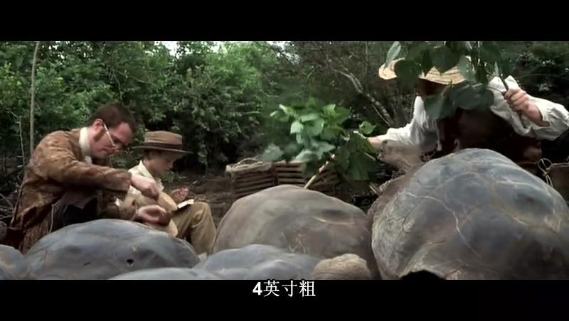 怒海争锋:极地远征masterandcommander:thefarsideoftheworld(2003)