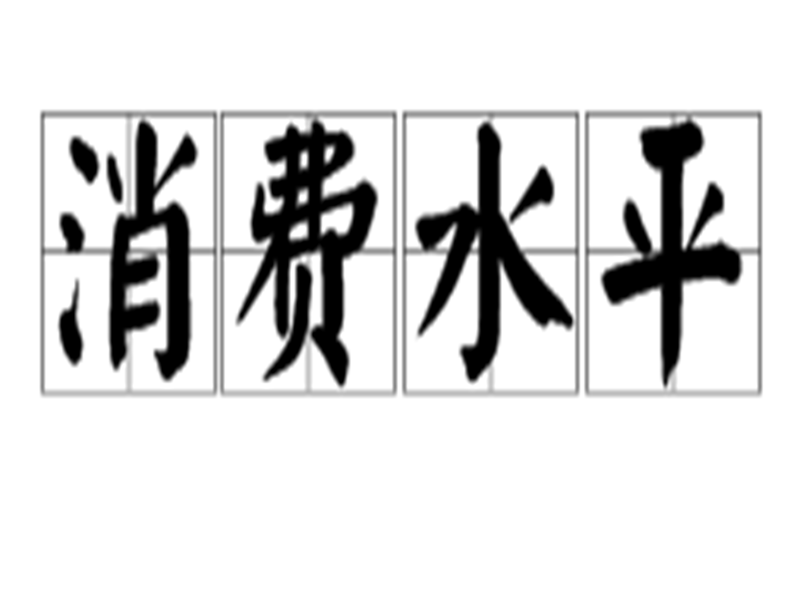 一定时期 (如一年) 内消费者用于满足自身日常生活费用各项支出的总和