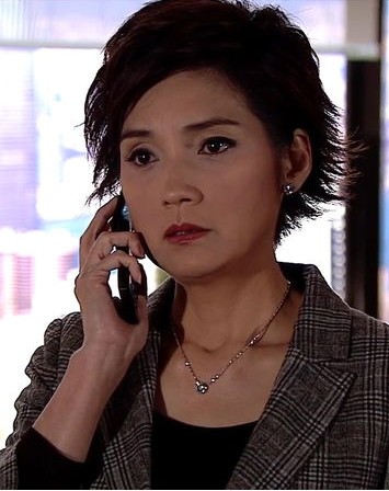  p>《富贵门》是由香港电视广播有限公司(tvb)2008年制作的商战电视剧