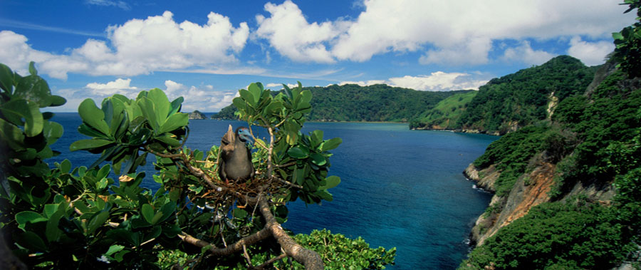  p>科科斯岛(英语:cocos island;西班牙语:isla del coco)位于在 a