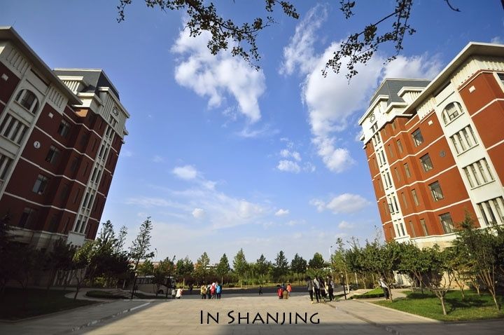 data-lemmaid="155740">山东 /a>财经大学燕山学院,由山东财经大学和