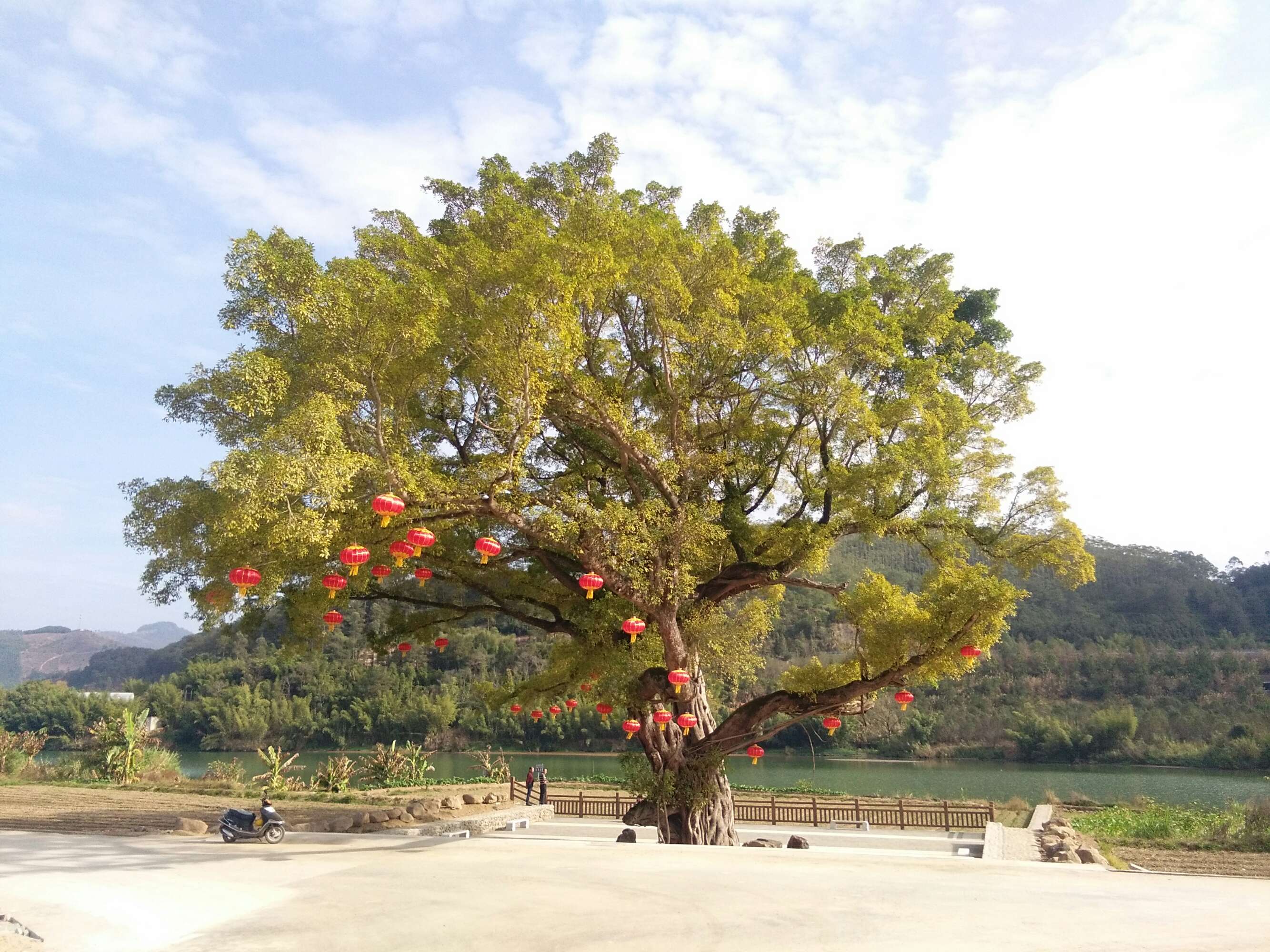  p data-id="gnay60hkht">西园镇,隶属于福建省龙岩市漳平市,九龙江