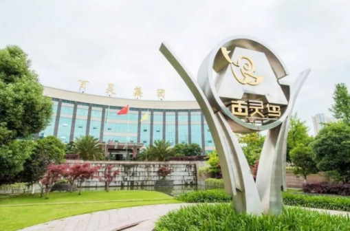 贵州百灵企业集团制药股份有限公司