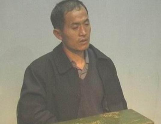 杨新海（皖豫鲁冀系列杀人案制造者）_百度百科