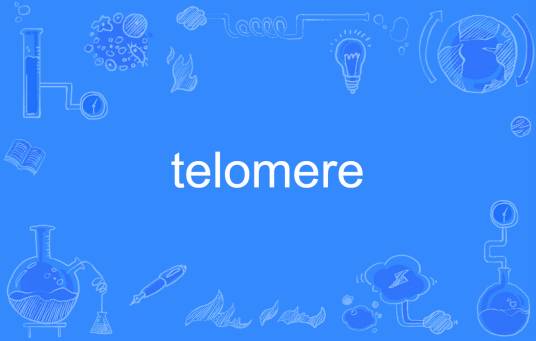 Telomere_百度百科