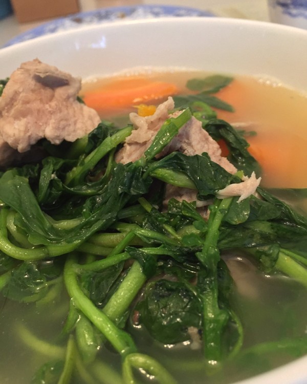 西洋菜猪骨汤 全网资源