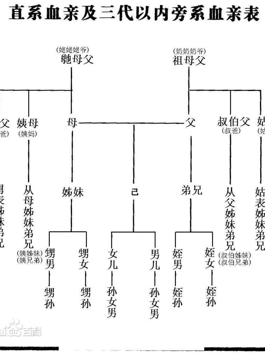 中国人亲戚关系图表