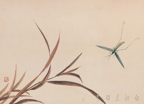 黄叶络纬