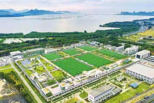 福田海滨生态体育公园_百度百科