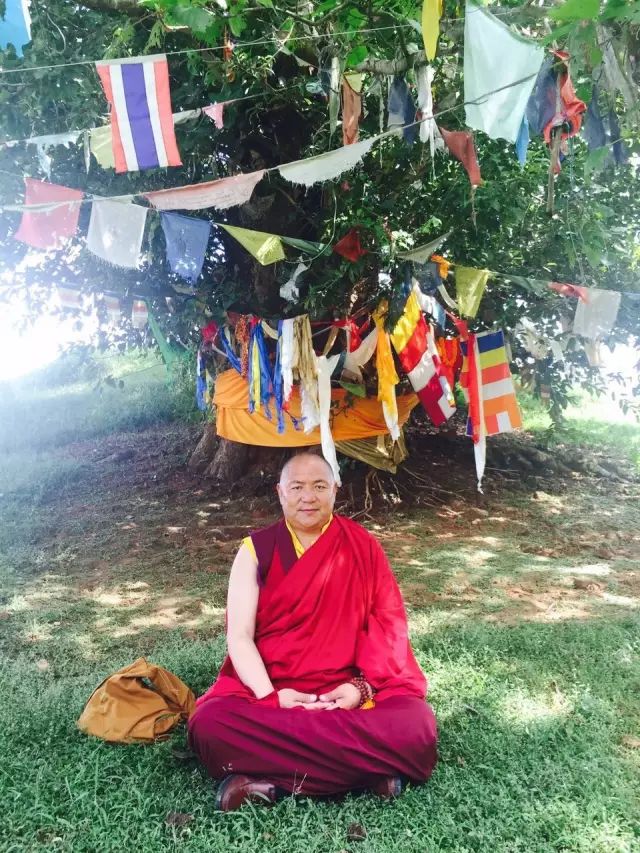  p data-id="t82uchmqkuod">查仓本洛占堆仁波切,楚布寺佛学院院长.