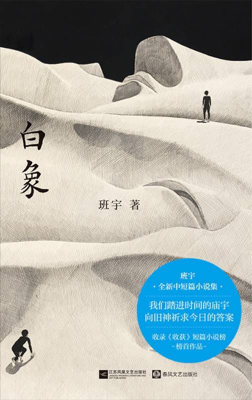 白象（2025年江苏凤凰文艺出版社出版的图书）_百度百科