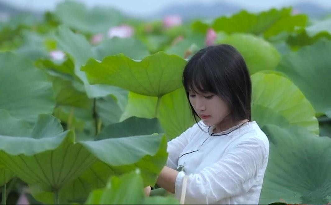  p>李子柒( i>本名:李佳佳 /i>),女,1990年出生于四川省绵阳市,中国
