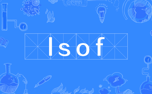 lsof_百度百科