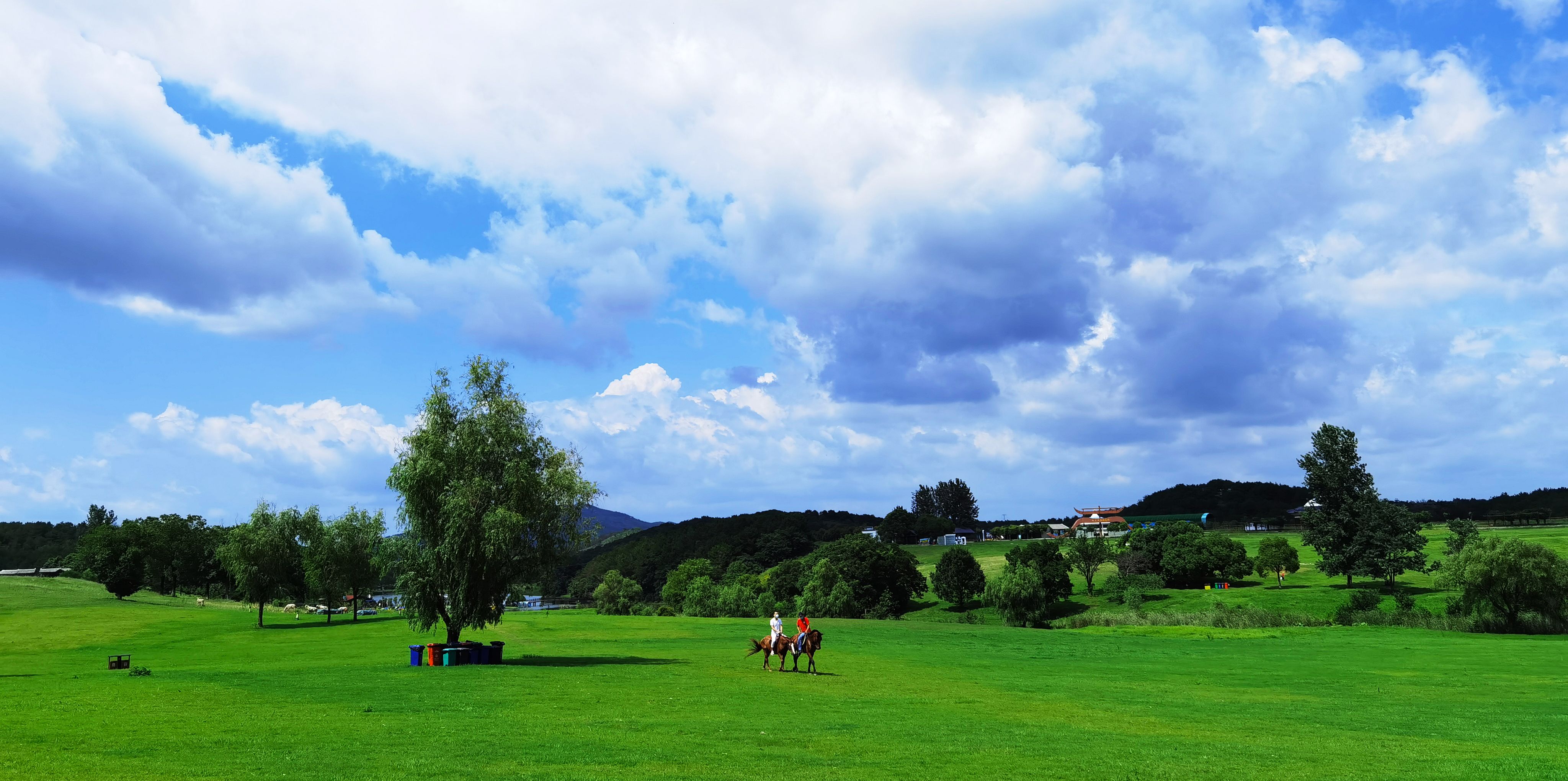  p data-id="go0gmjvw9p">木兰草原位于湖北省武汉市黄陂区 a target=