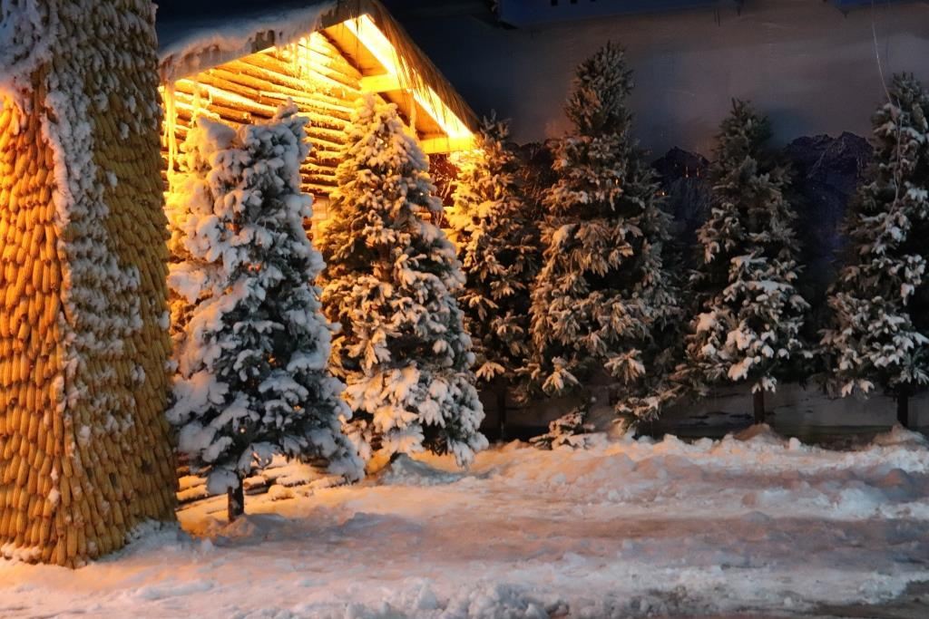  p>杭州冰雪大世界位于杭州市临平区北沙西路. /p>