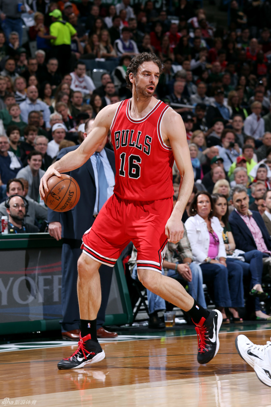 保·加索尔·赛斯