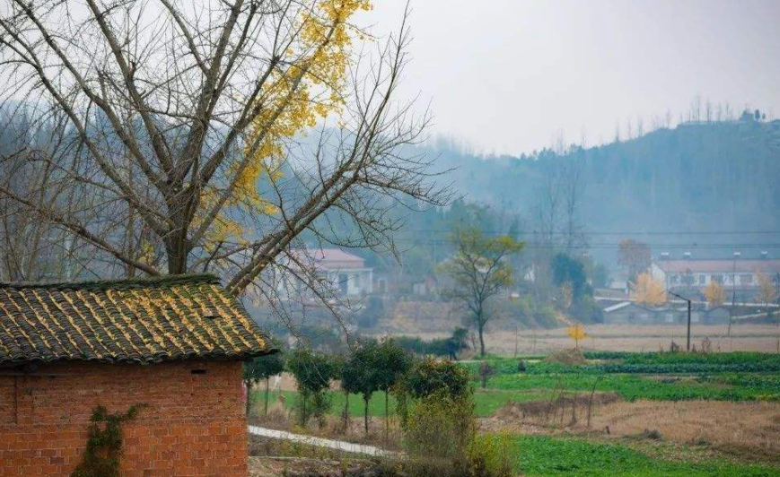  p data-id="gnhdho1z09">柳林镇,隶属于湖北省随州市 a target="