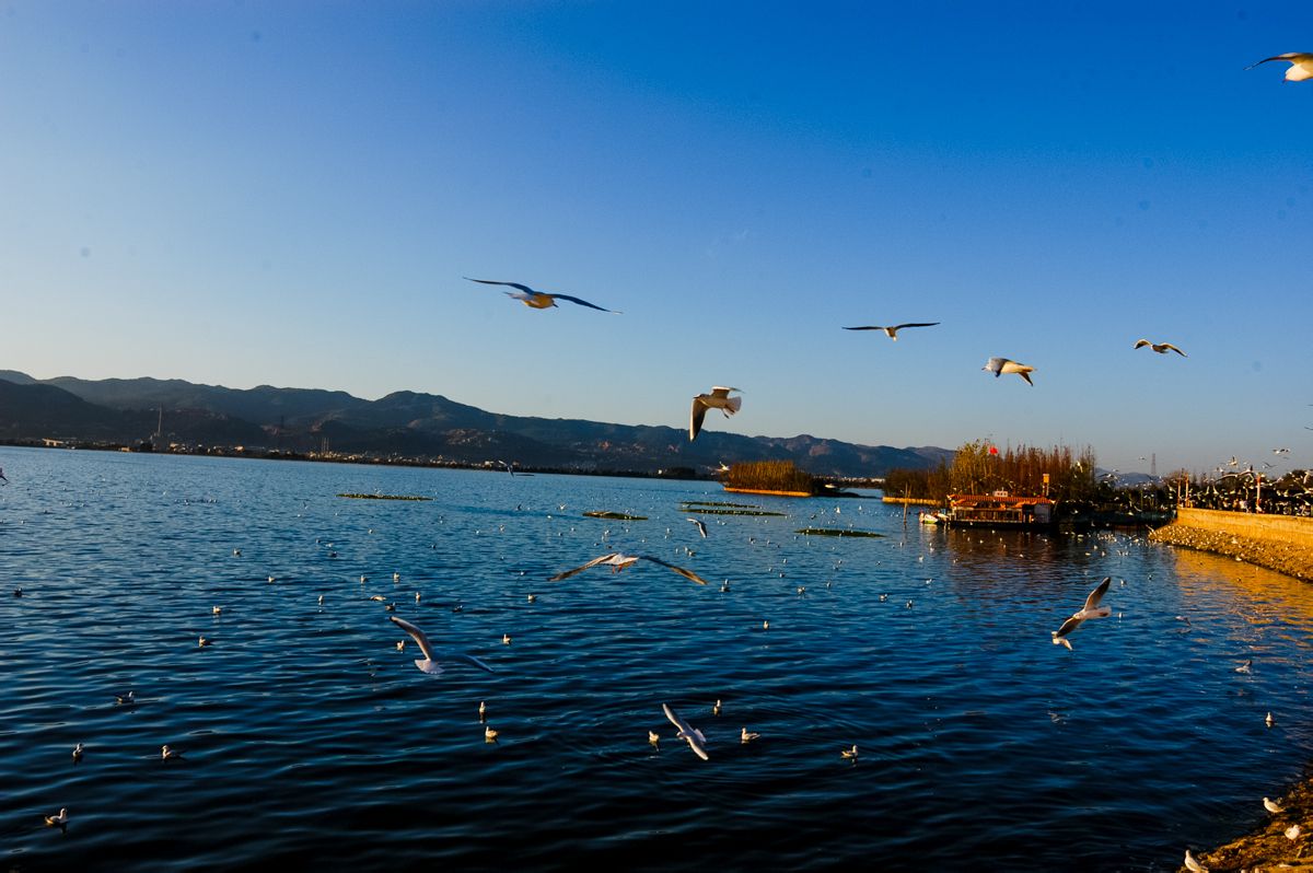  p>滇池,亦称 a target="_blank" href="/item/昆明湖/13481880" data