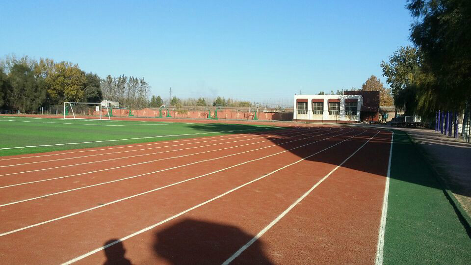 山东齐河县实验中学