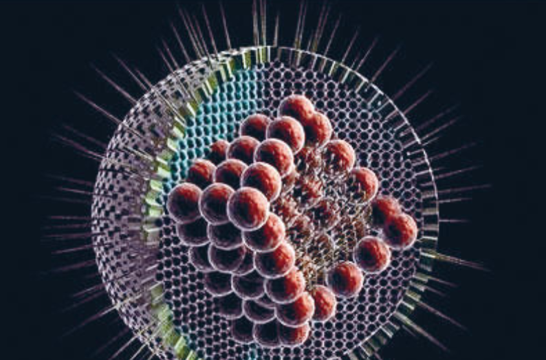  p>疱疹病毒(herpes virus)是一群有包膜的dna病毒,生物学特性相似