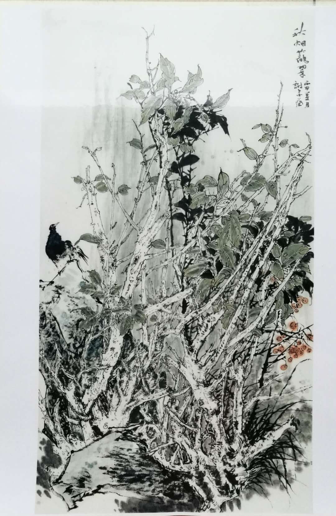  p>谢金兰,四川绵阳市人,1969年生于四川广安, 自