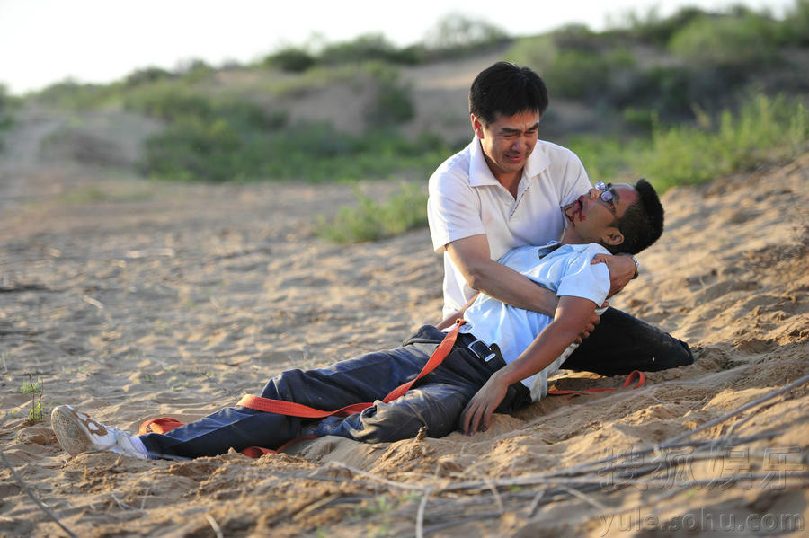 是一部描写北京企业家回乡寻找并开发频临灭绝的治沙树种野樱桃的故事