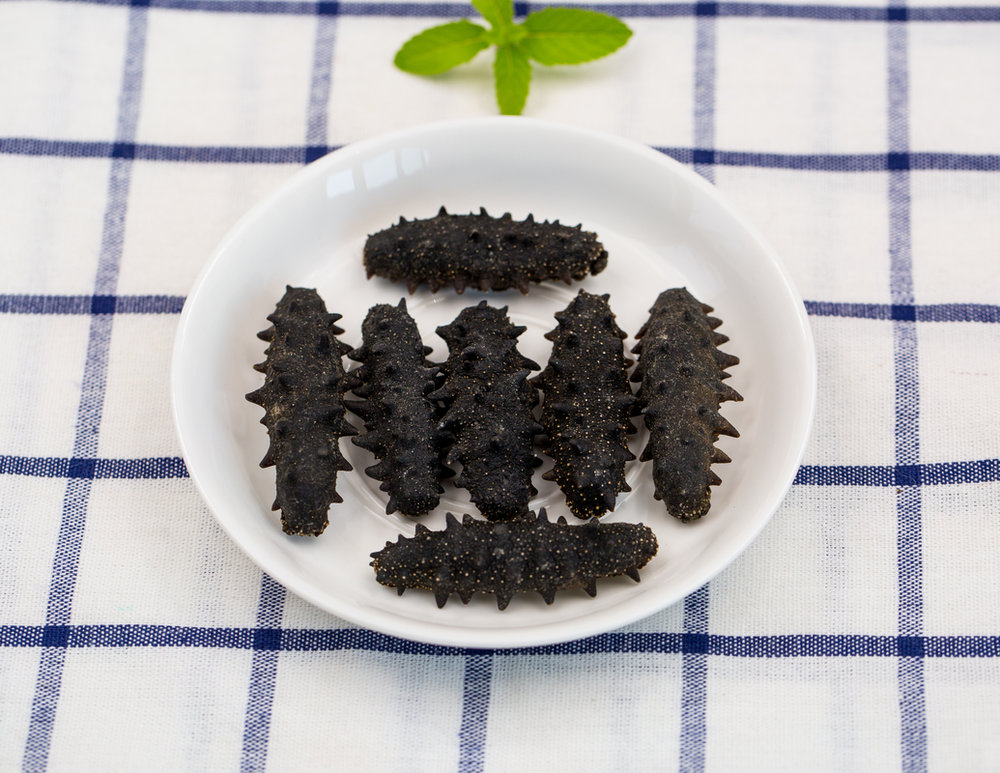 干海参