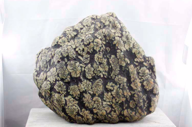  p data-id="go04onojk8">牡丹石是一种天然形成的奇石,其产地是中国 