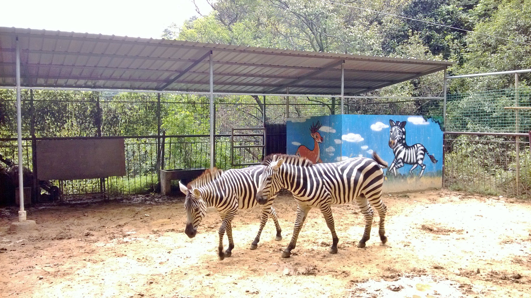 南平九峰山动物园