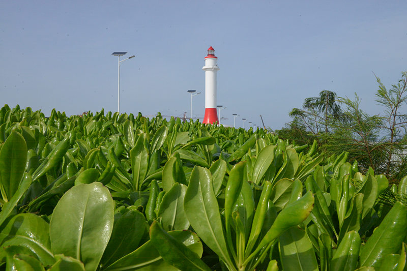 ">南沙群岛 /a> a target="_blank" href="/item/永暑礁/917995" data