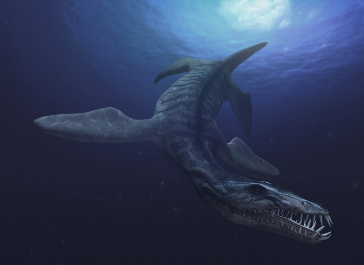  p>克柔龙(属名:kronosaurus)又名克诺龙, a h