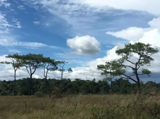 豆蔻山脉拥有16种不同的生态系统.