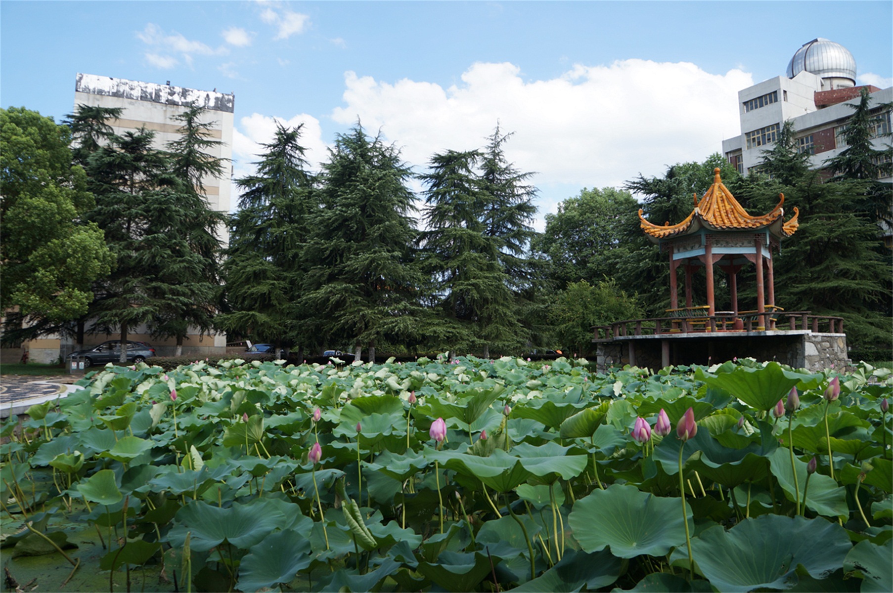 湖南文理学院