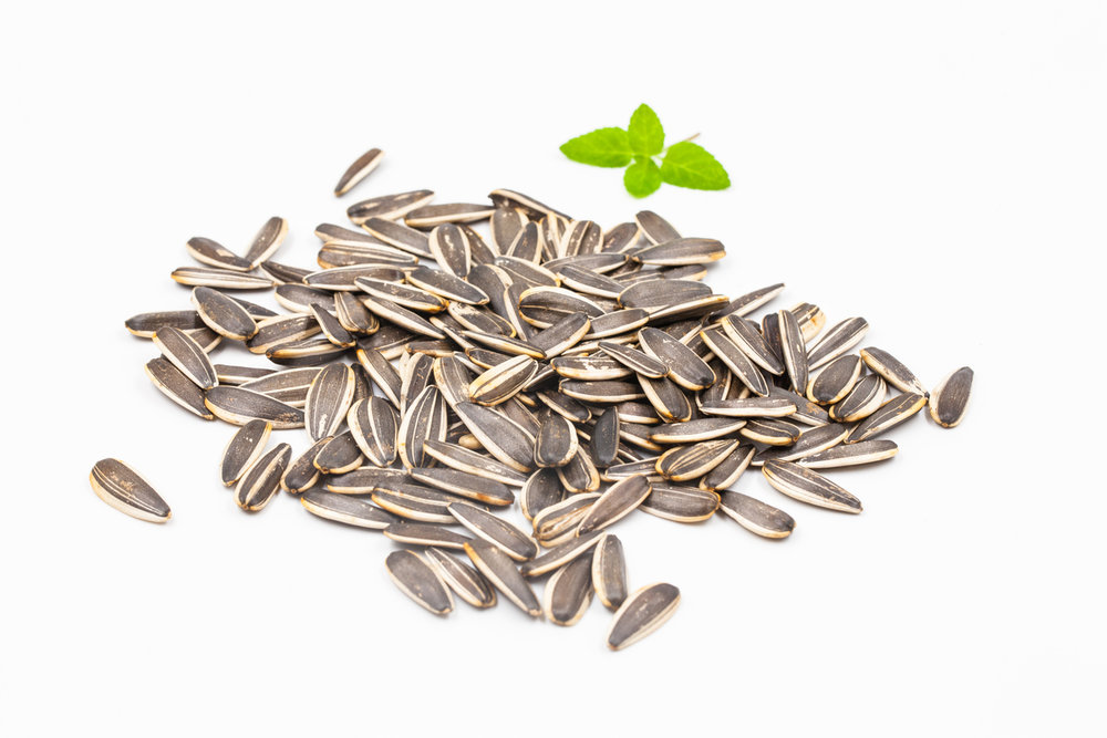 又叫瓜子儿,俗名叫 a target="_blank" href="/item/边果/7373775"