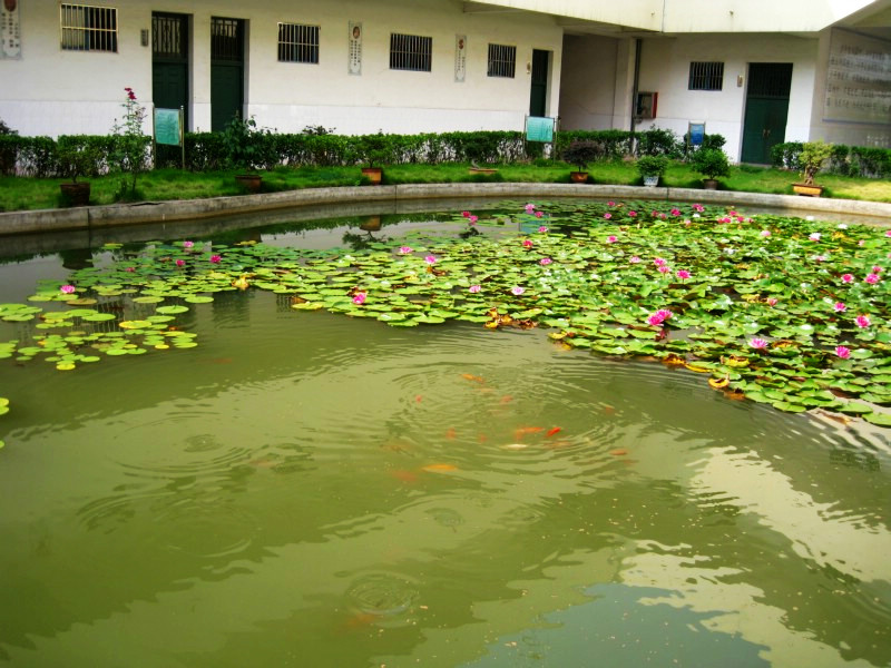 全椒县慈济中学