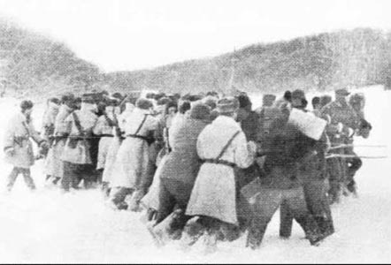 中苏边境冲突