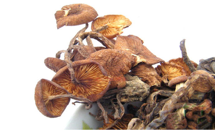  p>青杠菌,又叫鸡丝菌,老鹰菌. /p>