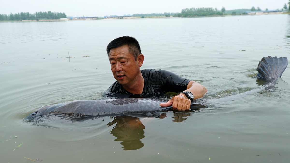 李大毛