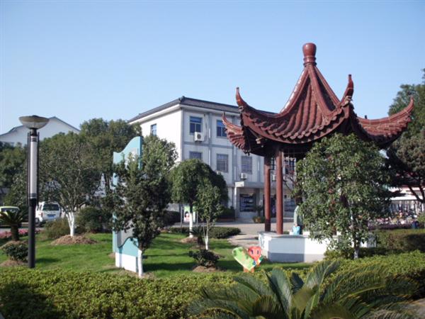 通安