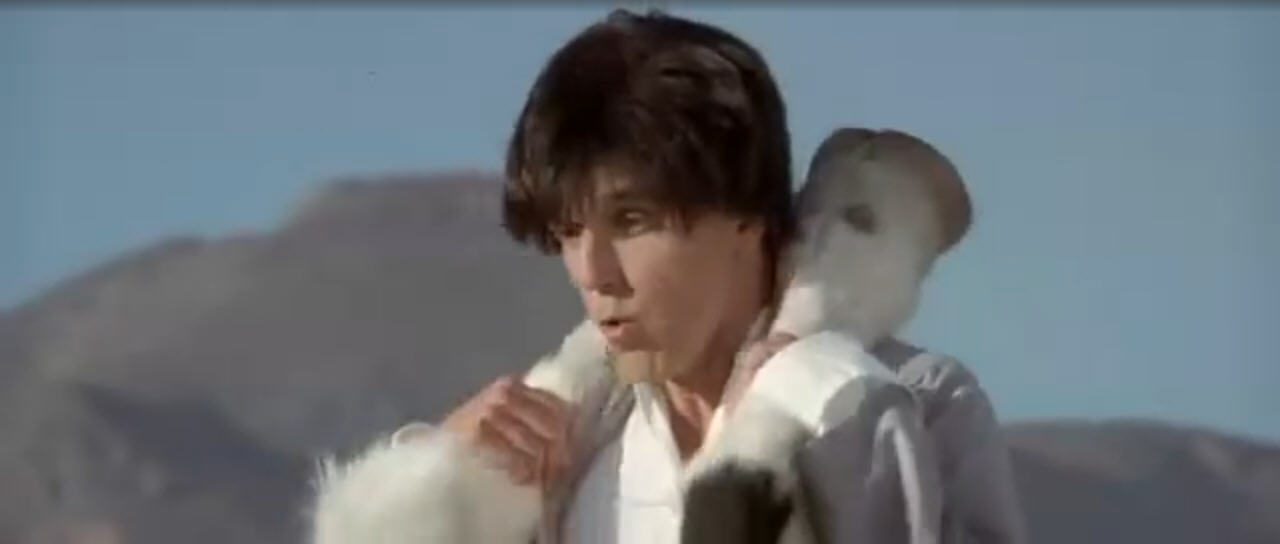 昆宝出拳kungpow:enterthefist(2002)