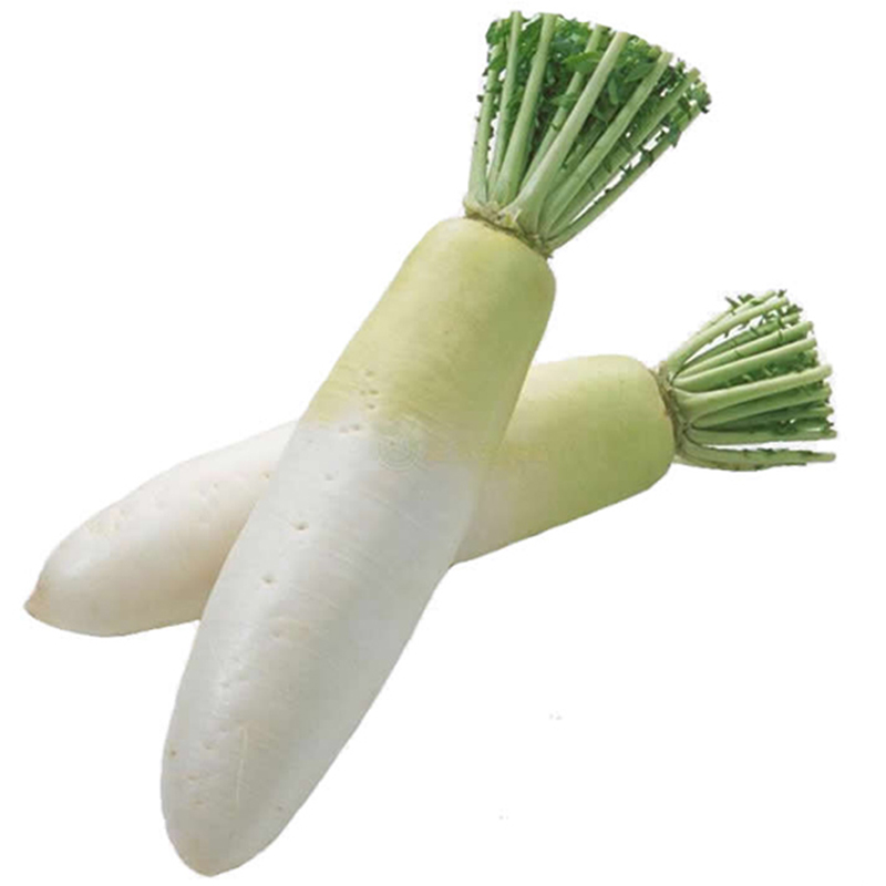 十字花科五缨水萝卜属的一个植物种. /p>