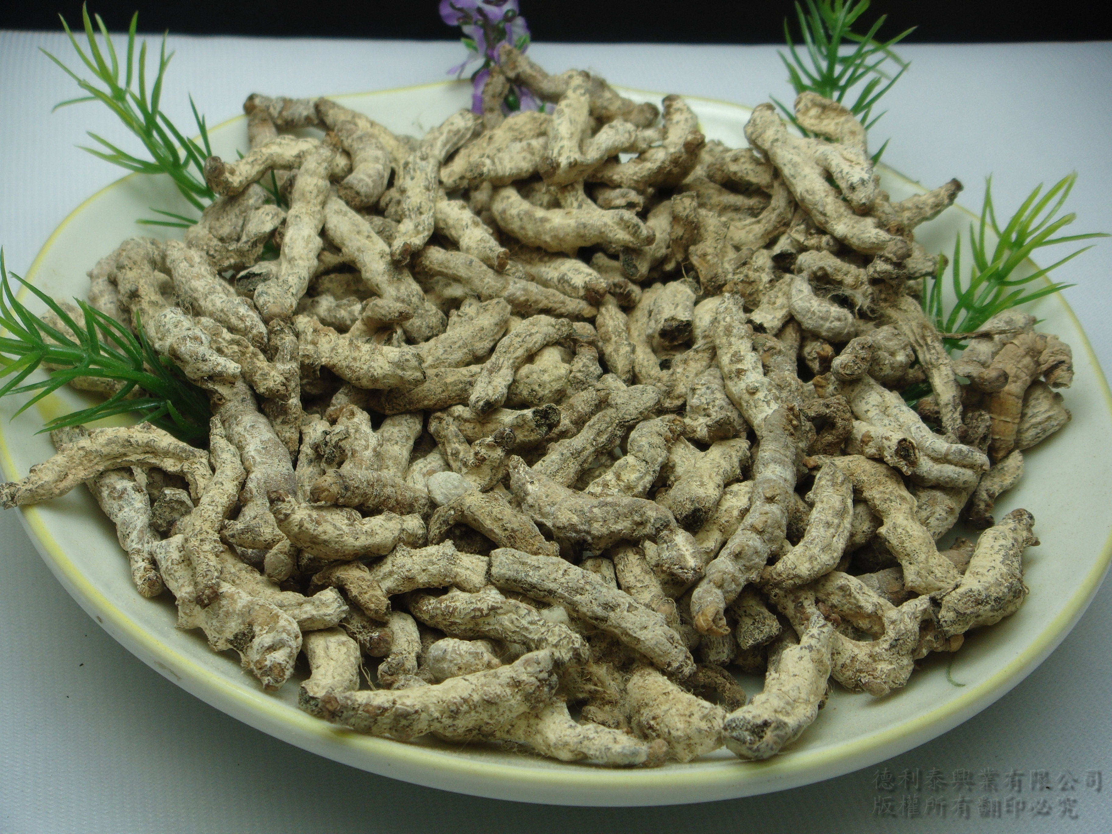  p>姜虫呈圆柱形,多弯曲而 a href="#" data-lemmaid="139583">皱缩 