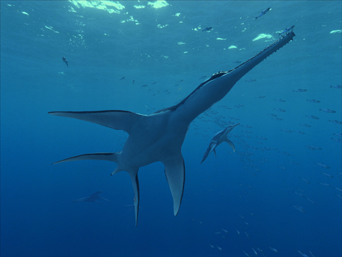  p>东方恐头龙(dinocephalosaurus orientalis )是