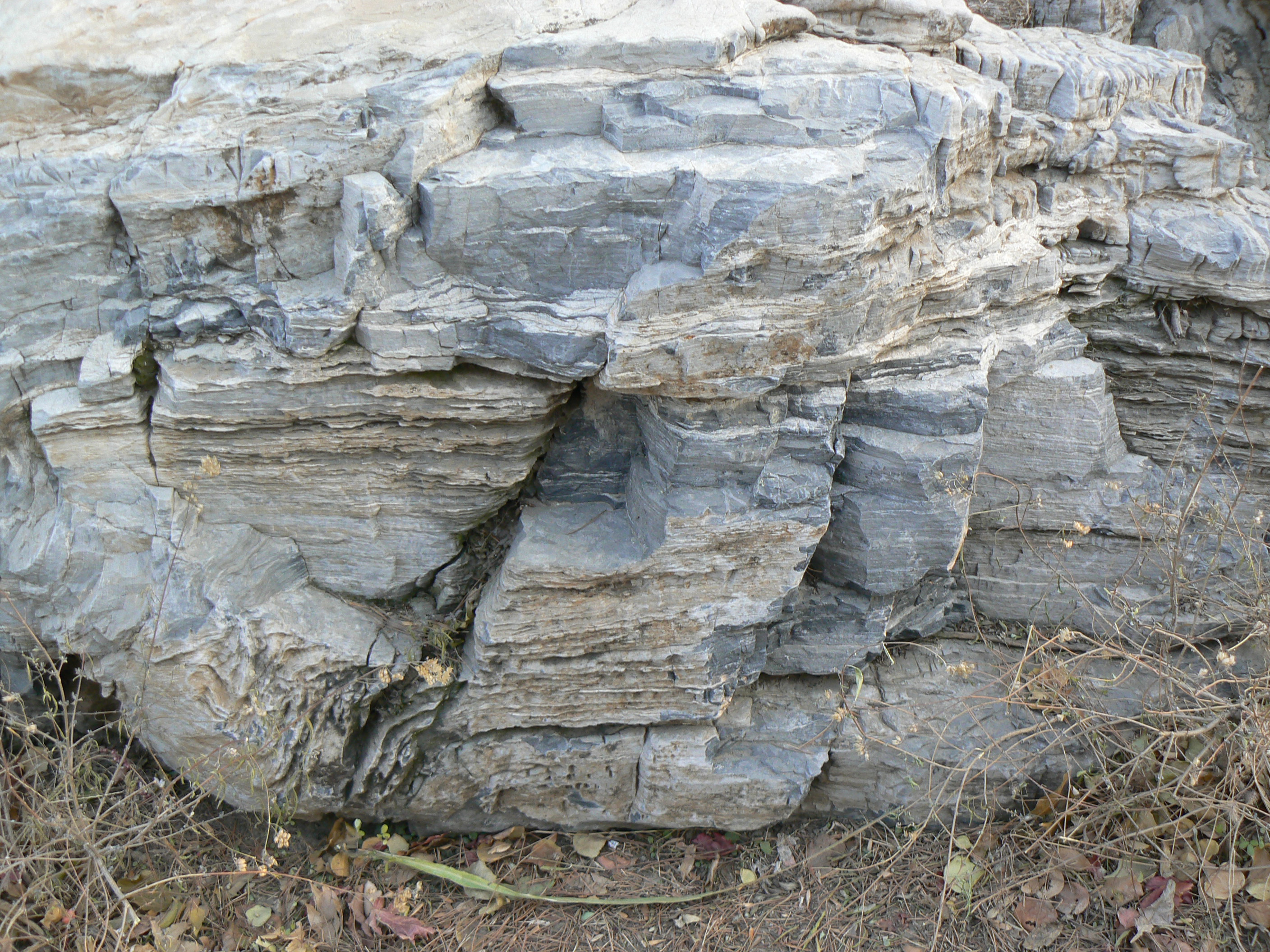 sedimentary structure)是 a target="_blank" href="/item/沉积岩
