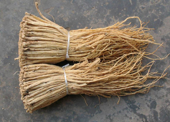 党参为巫山 a href="#" data-lemmaid="4329496">特产 /a>,又名"庙参"